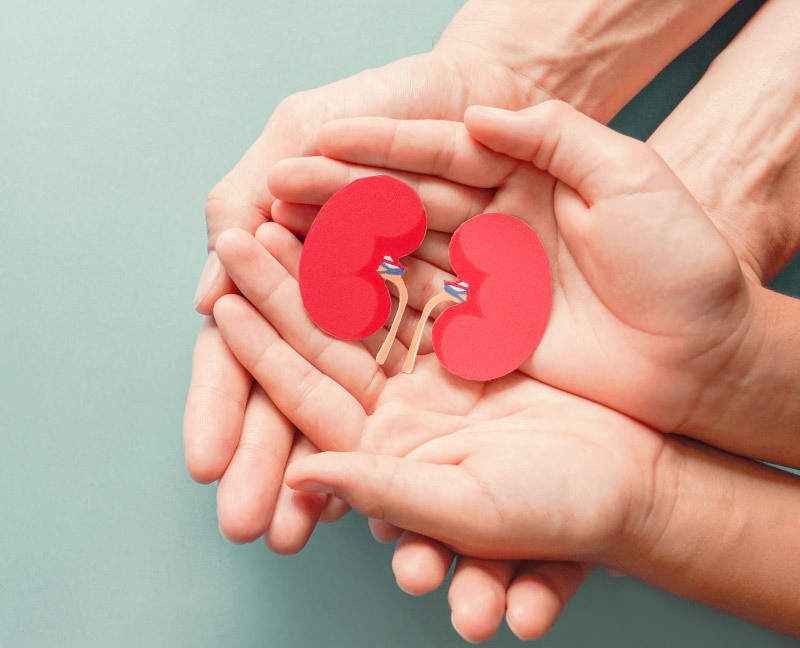 Organ donation